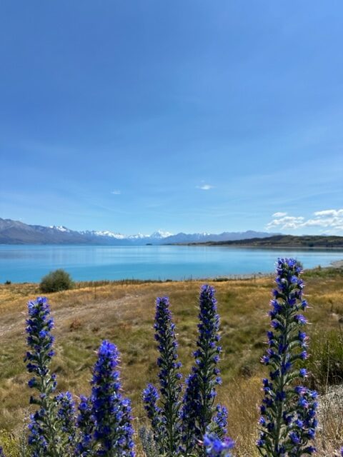 Glorious Lake Pukaki