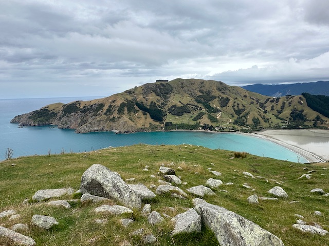 Cable Bay view, New Year's